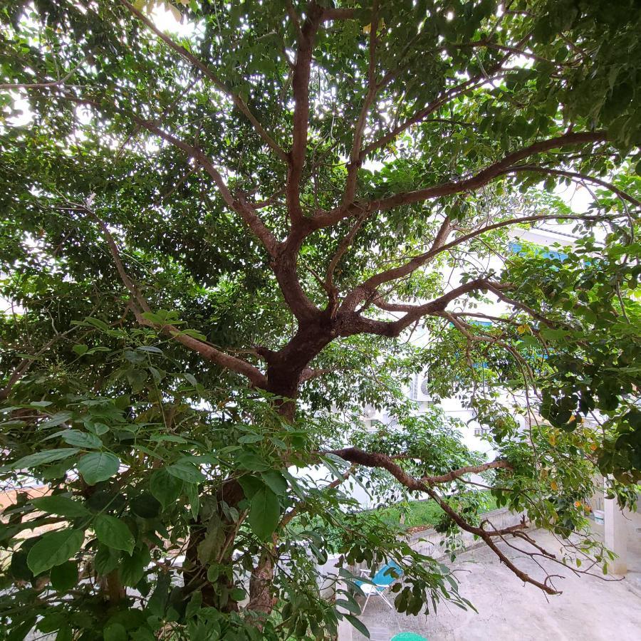 白砂灣藍海之丘blue Ocean Hill Bed and Breakfast Heng-ch'un Buitenkant foto